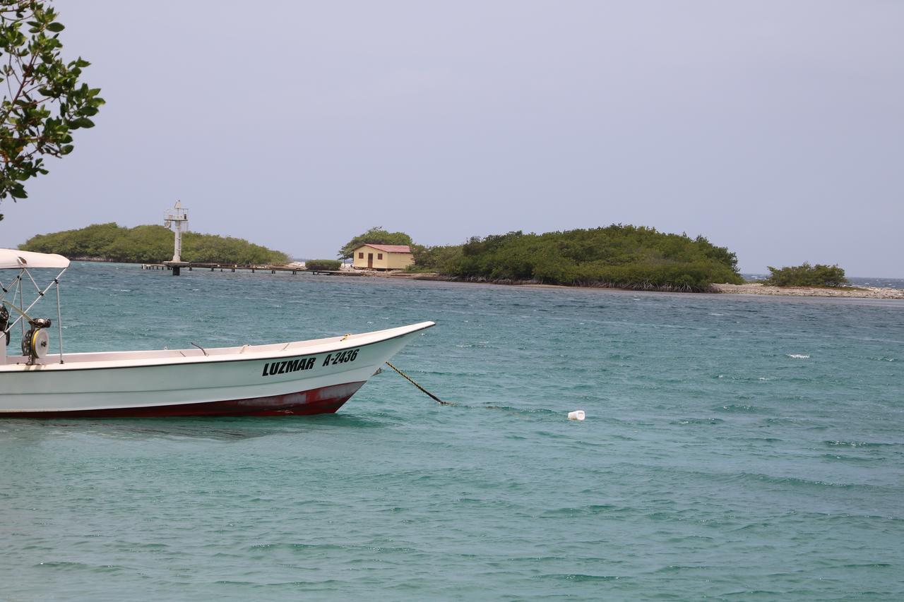 Coral Reef Beach Savaneta Exteriér fotografie